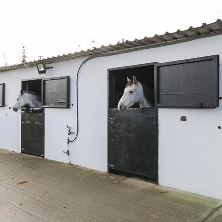 بيت للعطل Kilronan Ranch And Tuition Centre